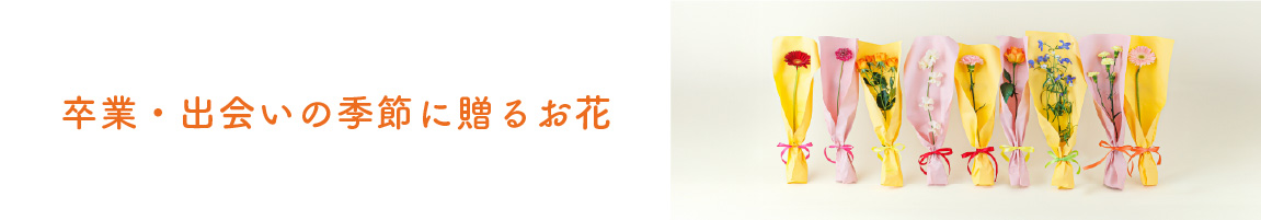卒業・出会いの季節に贈るお花