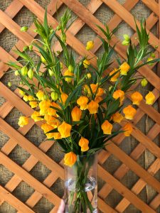 サンダーソニアが入りました 生花祭壇のフレシード信州