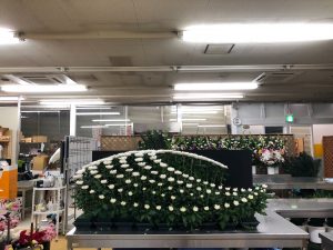 生花祭壇制作 練習に励んでおります 生花祭壇のフレシード信州