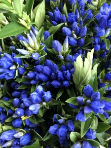 お盆花承ります 生花祭壇のフレシード信州