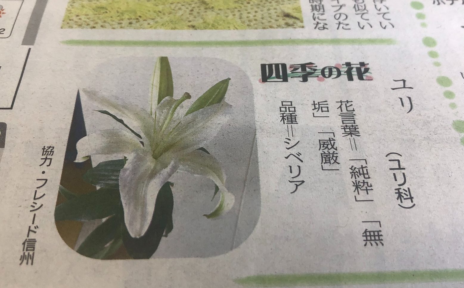 四季の花 生花祭壇のフレシード信州