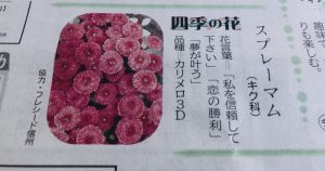四季の花 生花祭壇のフレシード信州 四季の花 生花祭壇のフレシード信州