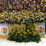 松本駅構内へお花を飾らせて頂きました🌻